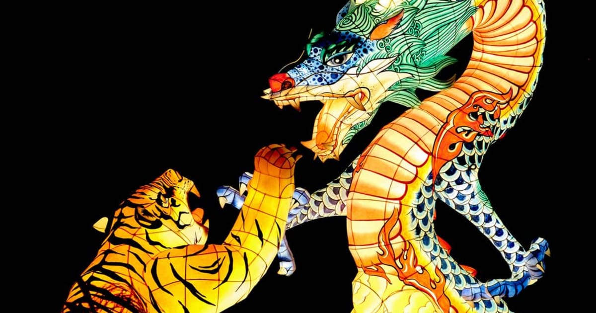 „Drakono tigras“: populiarus tiesioginis kazino žaidimas